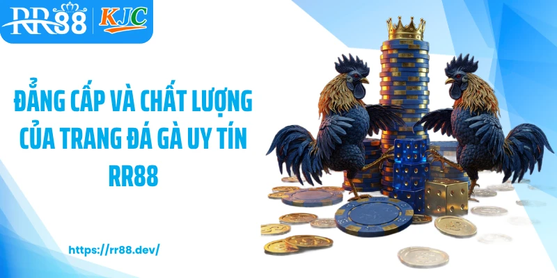 Đẳng cấp và chất lượng của trang đá gà uy tín RR88